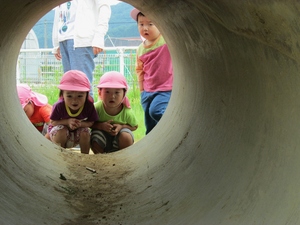 写真：土管を覗く子供たち