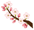 桜のイラスト