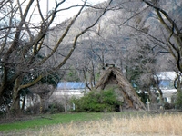 写真：復元住居