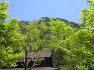 写真：雲龍山