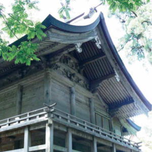 写真：白山比咩神社本殿