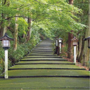 写真：白山比咩神社境内 参道