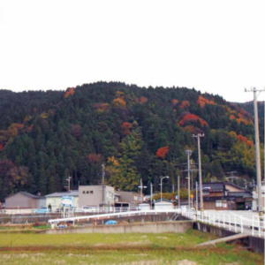 写真：槻橋城跡