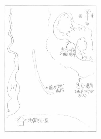 イラスト：森の地図