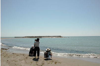 写真：海辺