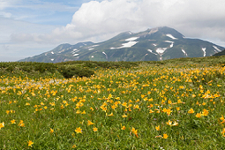 写真：白山1