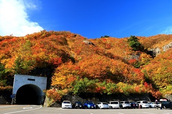 写真：紅葉