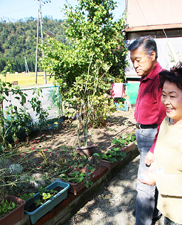 写真：家庭菜園2