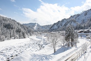 写真：雪景色