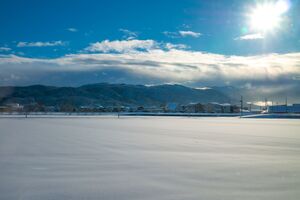 写真：雪原