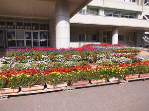 写真:花いっぱい運動3
