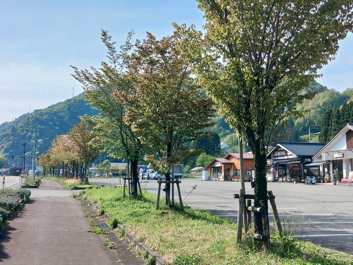 道の駅　瀬名　桜