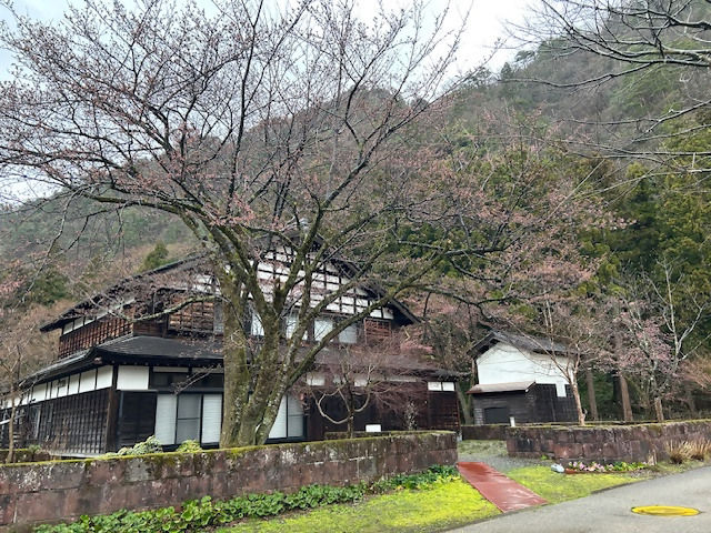 吉野工芸の里 桜