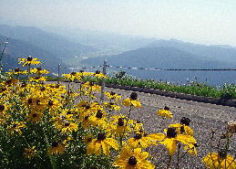 写真：夏のスカイ獅子吼からの風景