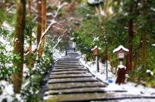 写真：白山比咩神社への参道