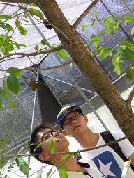 写真:活動内容5