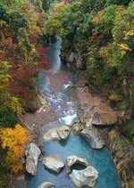 写真6