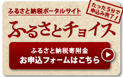 ふるさと納税ポータルサイト　たった5分で申し込み完了!　ふるさとチョイス　ふるさと納税寄付金お申し込みフォームはこちらから（外部リンク・新しいウィンドウで開きます）