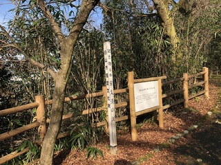 写真:古宮公園4