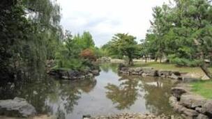 写真:若宮公園4