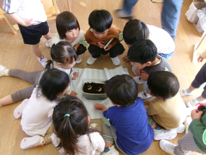 カブトムシの幼虫が入っている飼育ケースを子供たちが囲んでみているところ