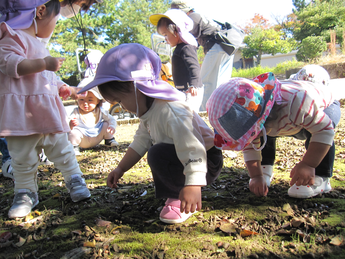 写真：どんぐりを拾っているところ
