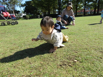 写真：公園でハイハイや歩行を楽しんでいるところ
