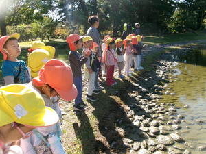 写真:散歩に行って、自然物を拾っているところ