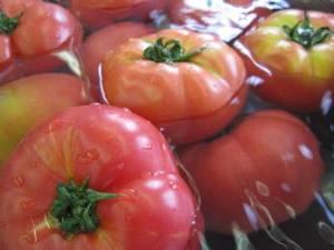 写真：水に浮かんだトマト