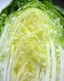 写真：白菜の断面