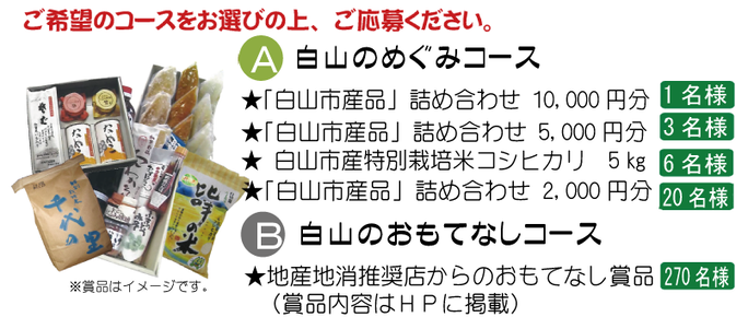 ご希望のコースをお選びの上、ご応募ください。