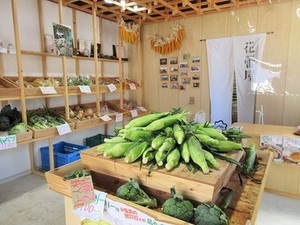 写真：花蕾屋の内部1