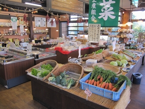 写真：店内の様子