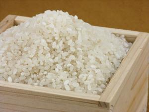 写真：特別栽培米