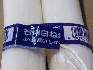 写真：ねぎに巻いてある石川白ねぎと書かれたテープ
