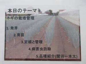 講習会の内容（本日のテーマ）ネギの栽培管理1.発芽2.育苗3.定植と管理4.病害虫防除5.品種紹介（関羽一本太）