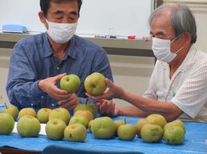 写真：選果場の様子1