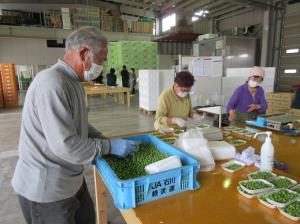 写真：選果場の様子