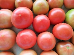 写真：まっとうトマト2