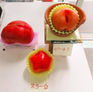 写真:展示されているトマト