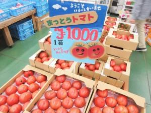 写真：店頭のトマト2