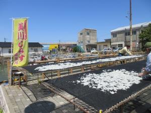 写真：天日干しの様子