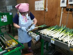 写真：作業の様子2