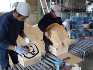 写真:箱詰め作業の様子2