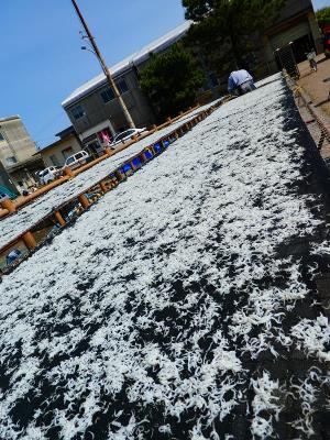 写真：天日干しの様子