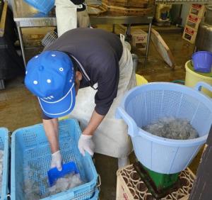 写真:作業の様子