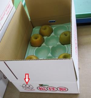 写真：松任梨の箱