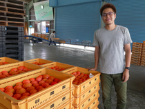 写真：JA松任トマト部会の谷さん