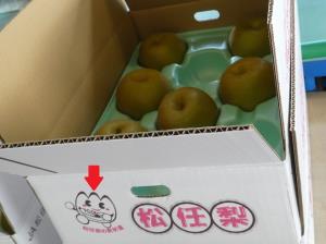 写真:松任梨の箱
