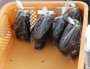 写真:販売用に袋詰めしたなす